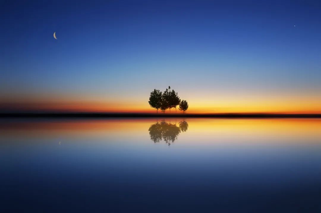 梨花写作书苑，读书写作变现技巧分享