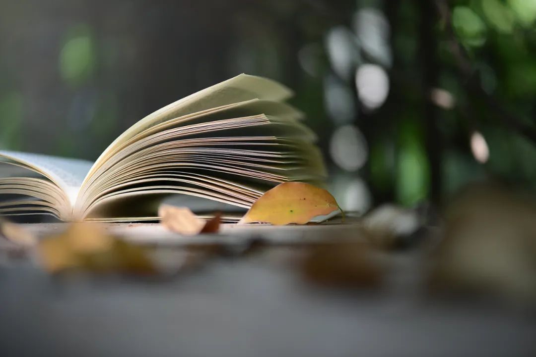 梨花写作书苑，读书写作变现技巧分享