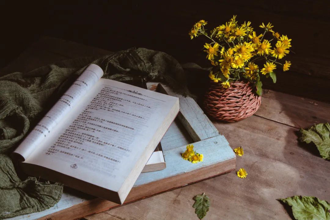 梨花写作书苑，读书写作变现技巧分享